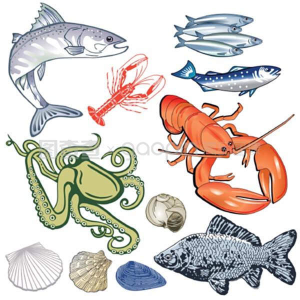 海鮮、魚類、貽貝插圖