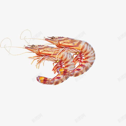 海鮮海洋生物水產 創意素材 海鮮水產素材