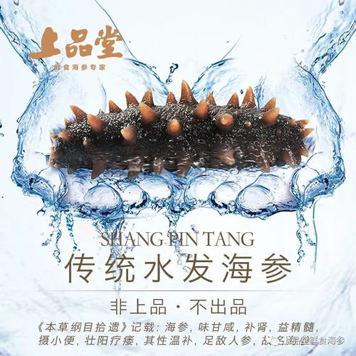 新華網 非上品,不出品 上品堂促進海參產業升級