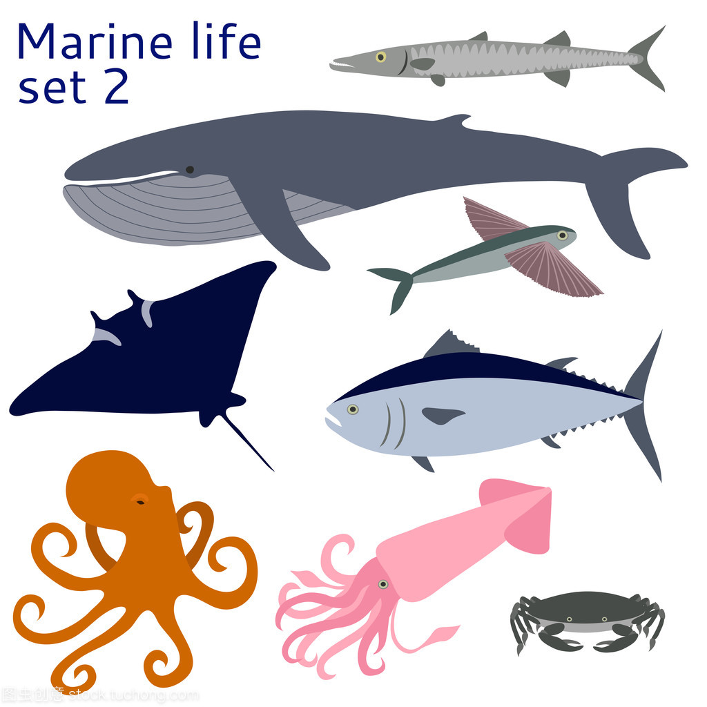 魚類和其他海洋生物