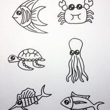 簡筆畫超萌海洋生物合輯