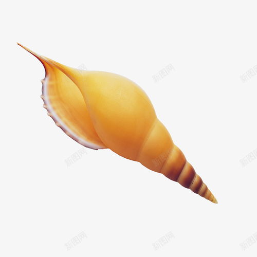 海鮮海洋生物水產(chǎn) 創(chuàng)意素材 海鮮水產(chǎn)素材