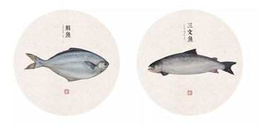 大佬這是手繪了一個(gè)海底世界吧 真強(qiáng)