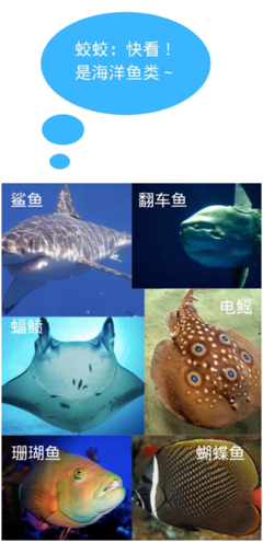 世界海洋日: “蛟蛟”帶你探秘神奇的海洋世界