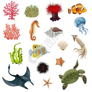 海洋生命章與手繪章魚蟹果凍魚矢量插圖海洋生活涂鴉插圖插畫圖片下載-正版圖片300940299